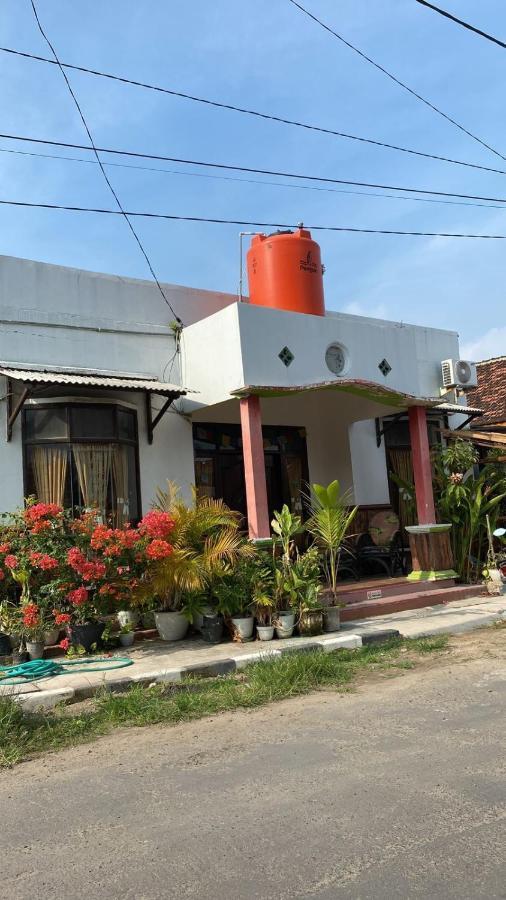 Owl Hostel Karimunjawa Exterior foto